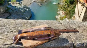 River and Mounts - Image 4