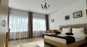 Vila Paltinis - Image 2
