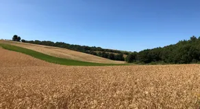 Chambre hôtes Les Garrigues CUCURON - Image 5