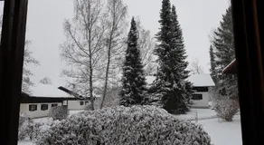 Ferienhaus Walter im Waldferiendorf - Image 4