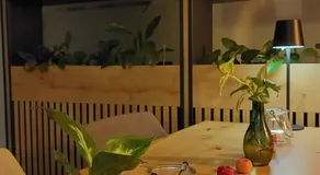 B&B Beyond - Image 5