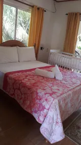 Green Garden Self catering 1 - Image 3