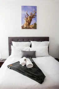 Botha Villa Lodge Goodwood - Image 2