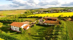 BioWeingut & Landhotel Gänz - Image 4