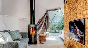 Woodland dome - Image 4