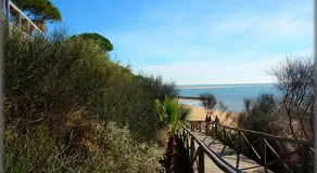 paqo lodge Laguna del Portil, a 400 metros de la playa - Image 5