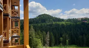 Apartments B229 & B230 in Aparthotel Vucko, Jahorina -private host - Image 5
