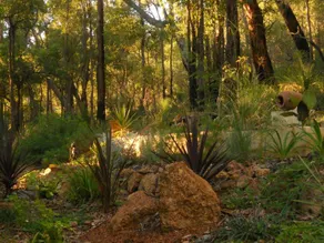 Bickley Valley Retreat Bed and Breakfast - Image 3