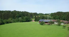 Erwins Ferien-Paradies - Image 3