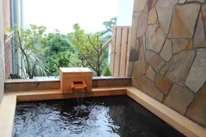 Aqua Garden Ragdoll - Image 3