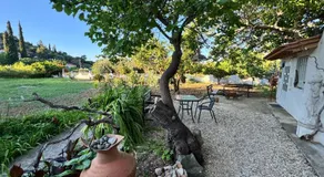 Hectora -Private Sunrise Retreat - Image 4