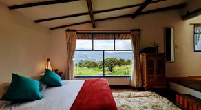 Wepa la Pepa Campestre - Image 2