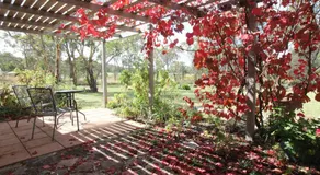Severn River Cottages - Image 2