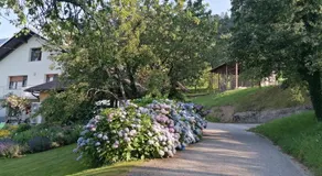 Apartma na Ravnicah - Image 5