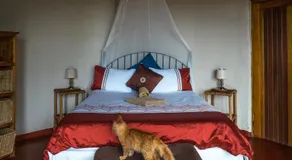 Delicious Monster Accommodation - Image 2
