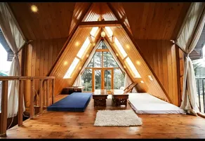 The Alpine Woods - Image 4