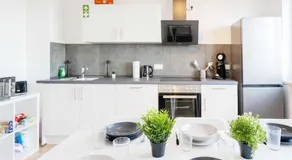Chic City-View Apartments in Hanau - Image 3