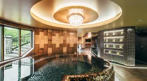 Sala Resort Plateliai & SPA - Image 2