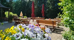 Café und Hotel Zum Grünen Baum - Image 3
