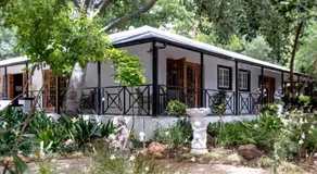 The Tin Roof - Image 4