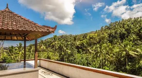Dana Bali Ricefield Villa - Image 5