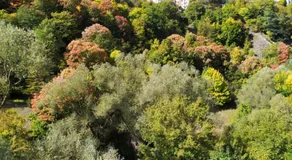 B&B IL GHIRO - Image 5