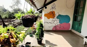 Osaree Agro and Art Hub - Image 2