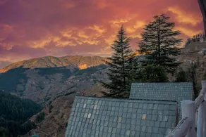 Nesta Narkanda Cottage, Rooms and Guided Treks - Image 2