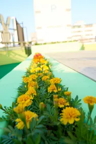 24 Guesthouse Jagalchi - Image 3