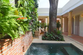 Casa Jaguar Hotel Boutique - Image 3