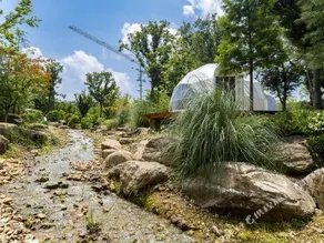 Neoroll Glamping - Image 4