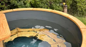 Wooded Bubble - Image 4
