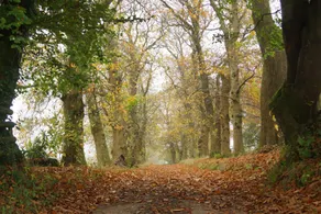 Bradleigh Down Holidays - Image 3