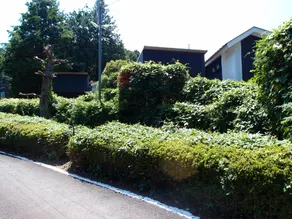 Hotel in the Forest - Image 5