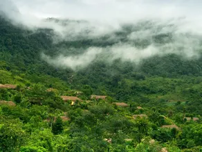 Avana Retreat - Image 3