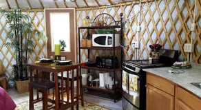 Rustic Luxury: Riverfront Yurt Glamping in Claxton, Georgia - Image 4