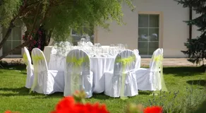 Green Club - Image 3