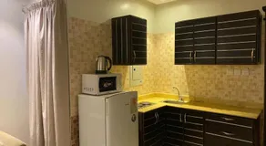 شركه نيو لايل - Image 2