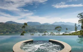 TEA TRAILS - Image 2