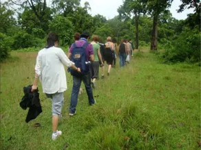 Hotel Rainforest - Image 4
