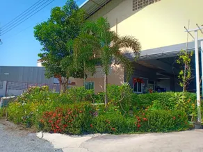 tantawan1 - Image 4