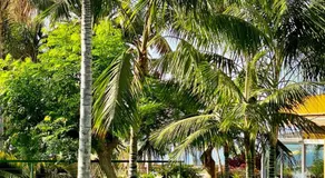 Hotel Tigaiga - Image 4
