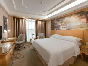 Vienna International Shenzhen Guangming Avenue - Image 4