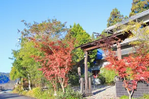 Ataata Resort - Image 5