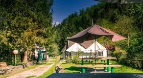Stara ribogojnica & Pohorska postrv - Image 3