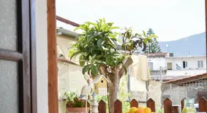 Raeti Cretan Guesthouse - Image 5
