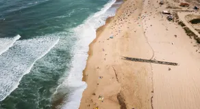 Bonjour Sauvage Seignosse - Image 2