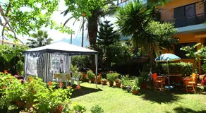 Homer Studio - Image 3
