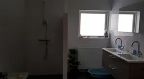 B&B Loon - Image 2