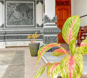 Ocean Blue Inn Benoa - Image 2